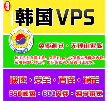 韩国VPS推荐8912M购买，搜索引擎用不了